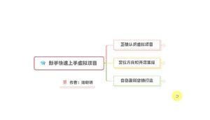 新手如何操作虚拟项目?从0打造月入上万店铺技术【视频课程】-天天有课网