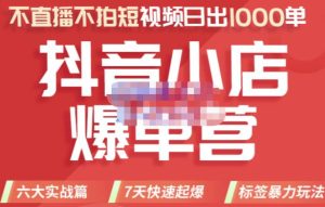 2022年抖音小店爆单营,不直播、不拍短视频、日出1000单,暴力玩法-天天有课网