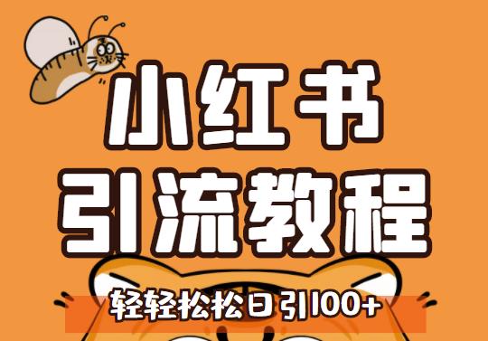 小红书运营引流全系列课程，每天引流100精准粉-天天有课网
