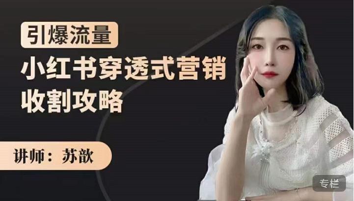 小红书穿透式营销收割攻略，引爆流量，助你玩转小红书-天天有课网
