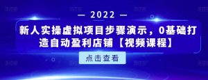 新人实操虚拟项目步骤演示,0基础打造自动盈利店铺【视频课程】-天天有课网