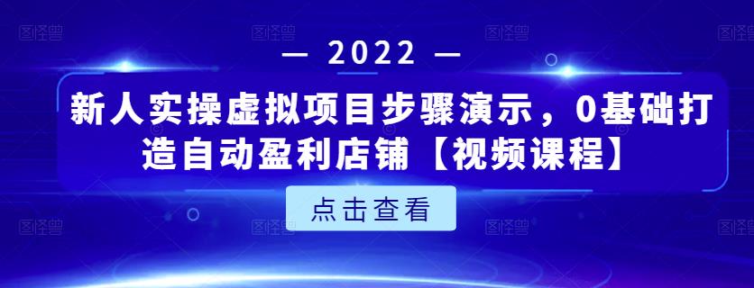 新人实操虚拟项目步骤演示，0基础打造自动盈利店铺【视频课程】-天天有课网