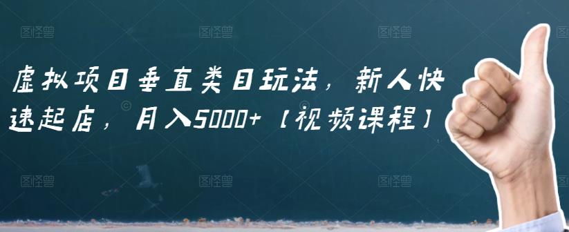虚拟项目垂直类目玩法，新人快速起店，月入5000+【视频课程】-天天有课网