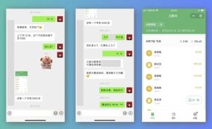 祖小来-简单易复制,月收益1万+的虚拟产品项目,实战玩法详解(视频教程+文档)-天天有课网