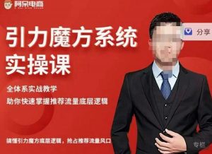 阿呆-引力魔方系统实操课,全体系实战教学,助你快速掌握推荐流量底层逻辑-天天有课网