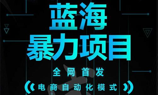 引流哥蓝海暴力躺赚项目：无需发圈无需引流无需售后，每单赚50-500（教程+线报群)-天天有课网