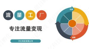 收费3980的流量工厂回粉项目，号称1个粉10元【详细玩法教程解析】-天天有课网