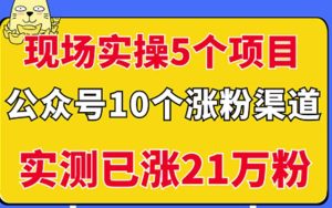 现场实操5个公众号项目,10个涨粉渠道,实测已涨21万粉!-天天有课网