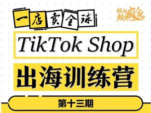 TikTokShop出海训练营（第十三期），打开全球流量新思维，出海抢占全球新流量，一店卖全球-天天有课网