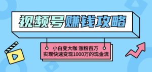 玩转微信视频号赚钱:小白变大咖涨粉百万实现快速变现1000万的现金流-天天有课网