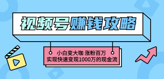 玩转微信视频号赚钱：小白变大咖涨粉百万实现快速变现1000万的现金流-天天有课网