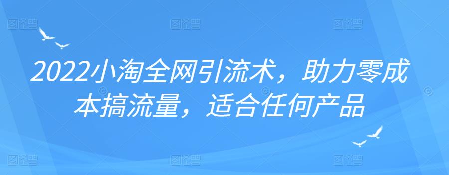 2022年小淘全网引流术，助力零成本搞流量，适合任何产品-天天有课网