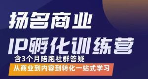 杨名商业IP孵化训练营,从商业到内容到转化一站式学 价值5980元-天天有课网