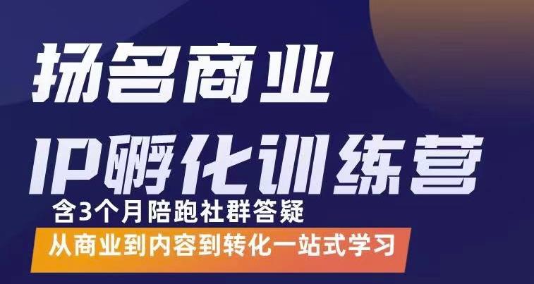 杨名商业IP孵化训练营，从商业到内容到转化一站式学 价值5980元-天天有课网
