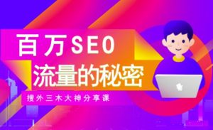 SEO实操培训：玩转百万SEO流量，助力站长快速提升流量（搜外三木大神分享课）-天天有课网