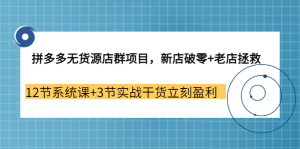 拼多多无货源店群项目,新店破零+老店拯救 12节系统课+3节实战干货立刻盈利-天天有课网