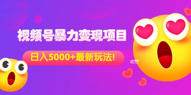 外面收费699的视频号暴力变现项目，日入5000+，简单易操作当天见效果-天天有课网