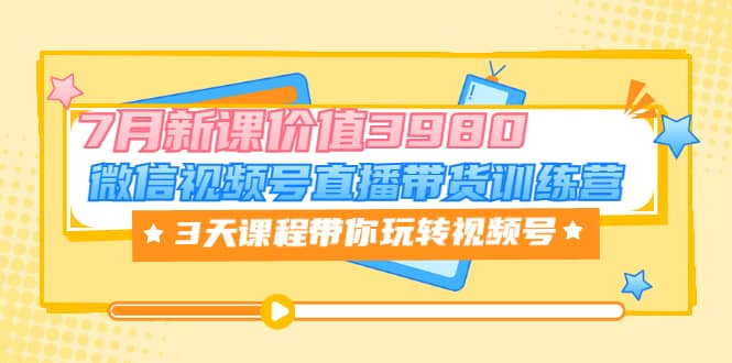 微信视频号直播带货训练营，3天课程带你玩转视频号：7月新课价值3980-天天有课网