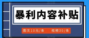 百家号暴利内容补贴项目，图文10元一条，视频30一条，新手小白日赚300+-天天有课网
