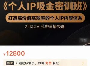 个人IP吸金密训班,打造高价值高效率的个人IP内容体系(价值12800元)-天天有课网