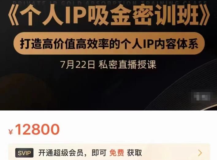 个人IP吸金密训班，打造高价值高效率的个人IP内容体系（价值12800元）-天天有课网