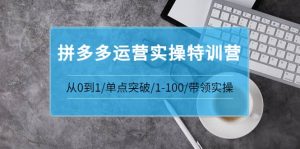 拼多多运营实操特训营：从0到1/单点突破/1-100/带领实操 价值2980元-天天有课网