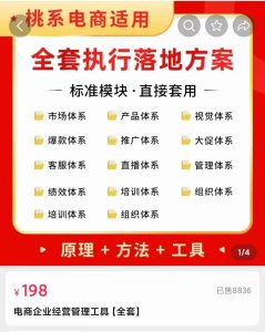 外面卖198·电商企业经营管理工具：全套执行落地方案 标准模块·直接套用-天天有课网