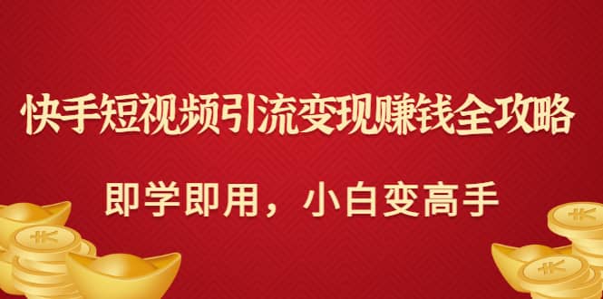 快手短视频引流变现赚钱全攻略：即学即用，小白变高手（价值980元）-天天有课网