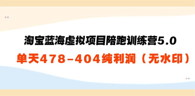 淘宝蓝海虚拟项目陪跑训练营5.0：单天478纯利润（无水印）-天天有课网