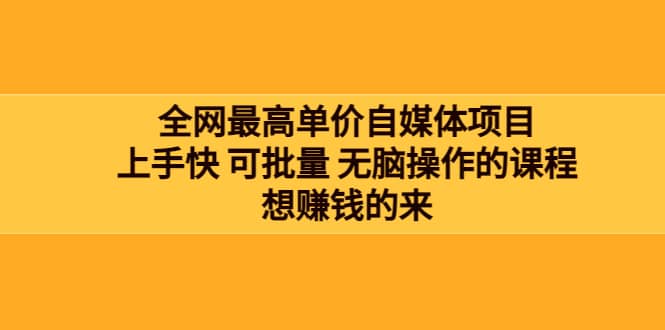 全网最单高价自媒体项目：上手快 可批量 无脑操作的课程，想赚钱的来-天天有课网