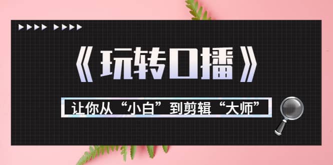 月营业额700万+大佬教您《玩转口播》让你从“小白”到剪辑“大师”-天天有课网