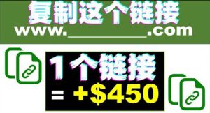 复制链接赚美元，一个链接可赚450+，利用链接点击即可赚钱的项目(视频教程)-天天有课网