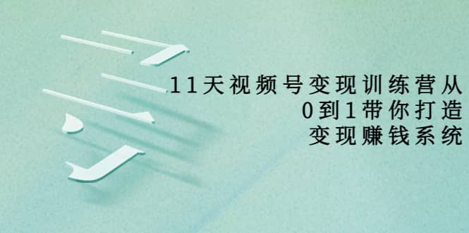 好望角·11天视频号变现训练营，从0到1打造变现赚钱系统（价值398）-天天有课网