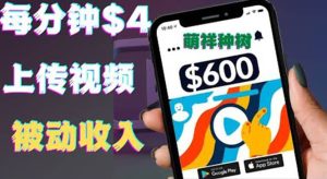 只需要上传视频然后每分钟赚4美元项目：详细操作步骤，新手也可操作-天天有课网