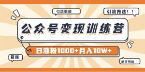 【某公众号变现营第二期】0成本日涨粉1000+让你月赚10W+(8月24号更新)-天天有课网
