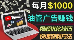 YouTube广告赚钱项目：只需发布视频就有收入，月入7000+副业-天天有课网