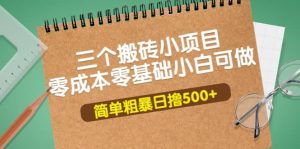 三个搬砖小项目，零成本零基础小白简单粗暴轻松日撸500+-天天有课网