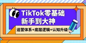TikTok零基础新手到大神：运营体系+底层逻辑+认知升级（9节系列课）-天天有课网