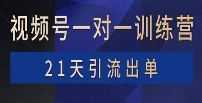 视频号训练营：带货，涨粉，直播，游戏，四大变现新方向，21天引流出单-天天有课网