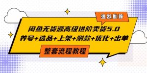 闲鱼无货源高级进阶卖货5.0，养号+选品+上架+测款+优化+出单整套流程教程-天天有课网