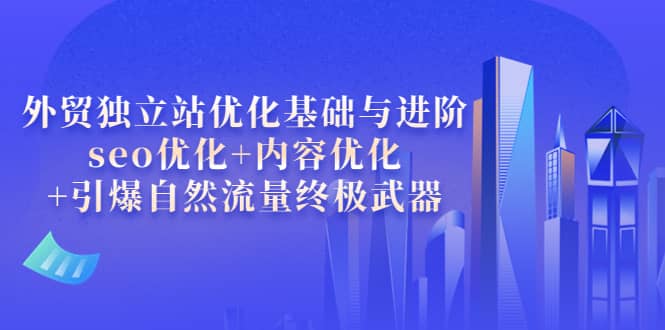 外贸独立站优化基础与进阶，seo优化+内容优化+引爆自然流量终极武器-天天有课网