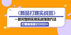《新品打爆实战班》一套完整的实操实战落地方法，打爆链接超2000+（38节课)-天天有课网