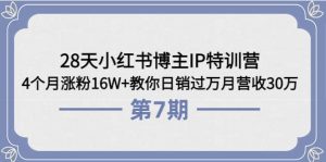 28天小红书博主IP特训营《第6+7期》4个月涨粉16W+教你日销过万月营收30万-天天有课网