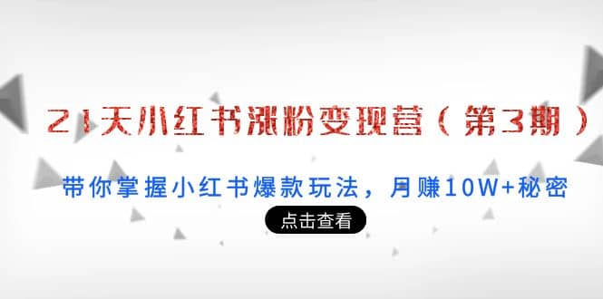 21天小红书涨粉变现营（第3期）：带你掌握小红书爆款玩法，月赚10W+秘密-天天有课网