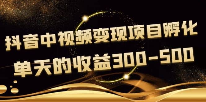 黄岛主《抖音中视频变现项目孵化》单天的收益300-500 操作简单粗暴-天天有课网