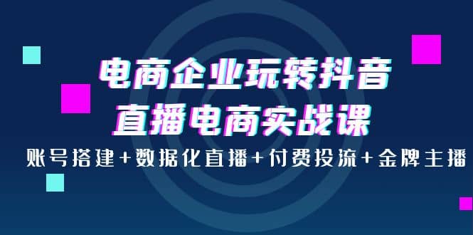 电商企业玩转抖音直播电商实战课：账号搭建+数据化直播+付费投流+金牌主播-天天有课网