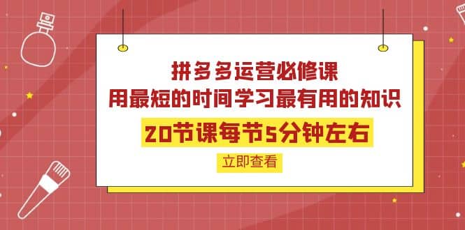 拼多多运营必修课：20节课每节5分钟左右，用最短的时间学习最有用的知识-天天有课网