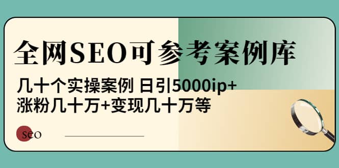 《全网SEO可参考案例库》几十个实操案例-天天有课网