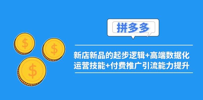 2022拼多多：新店新品的起步逻辑+高端数据化运营技能+付费推广引流能力提升-天天有课网