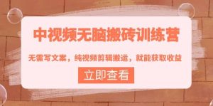 中视频无脑搬砖训练营：无需写文案，纯视频剪辑搬运，就能获取收益-天天有课网